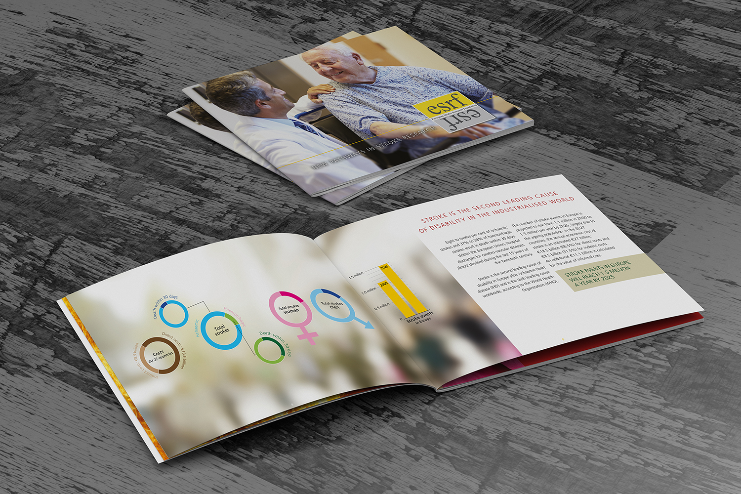 Business People Brochure Design Concept Case Study ESRF