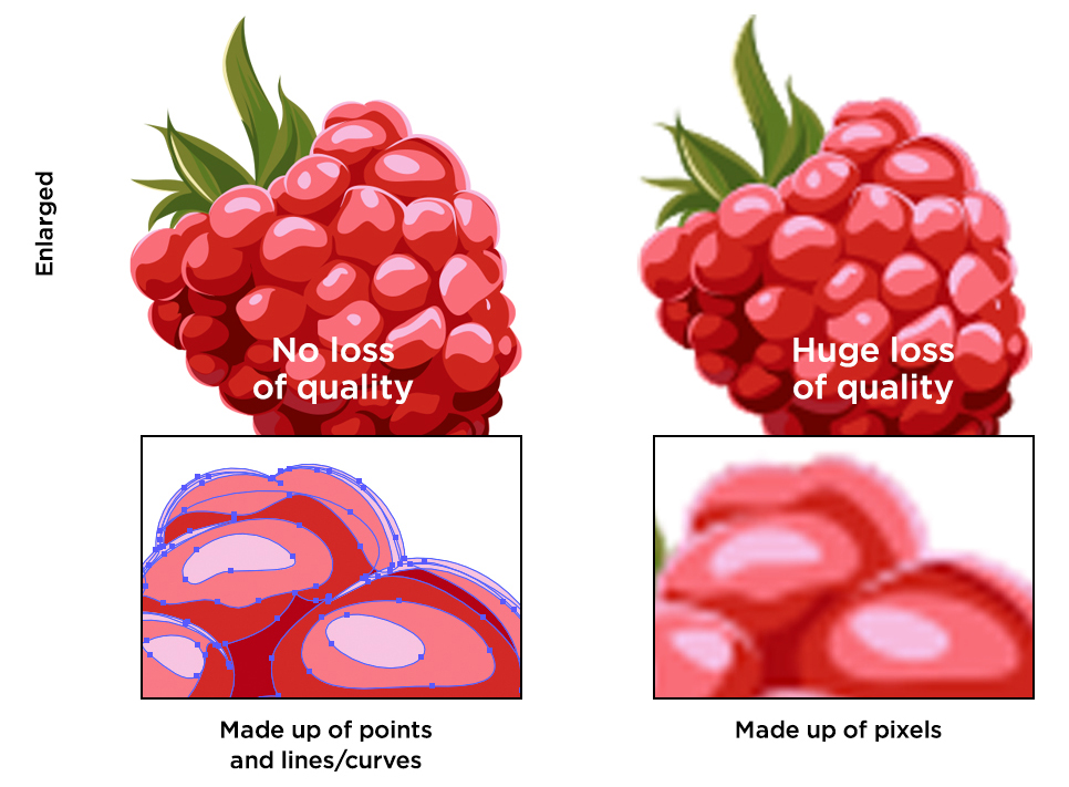 Vector Raspberry illustration
Pixel Raspberry illustration
Enlarged
Blurred lines
